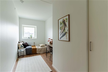 Billede 7. Lejlighed, Viften, Greve 