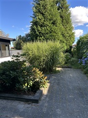 Photo 6. House, Jens Ulrichs Allé, Odense SV 