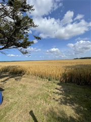 Photo 11. House, Digevej, Løgstør 