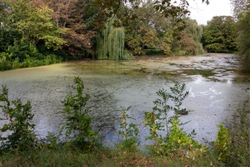 Billede 50. Lejlighed, Grønningen, København K 
