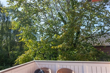 Photo 2. Apartment, Hellerupvej, Hellerup 