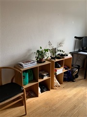Photo 4. Room, Dalstrøget, Dyssegård 