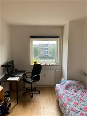 Photo 1. Room, Dalstrøget, Dyssegård 