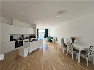 Photo 1. Apartment, Pladehals Allé, København SV 
