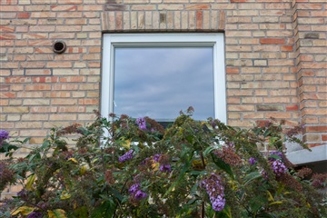 Photo 6. Apartment, Aldershvilevej, Bagsværd 