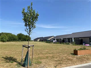 Photo 8. House, Frugthaven, Nørre Aaby 