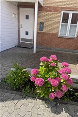 Photo 1. House, Hejrebanken, Herfølge 