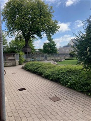 Photo 6. Room, Dæmningen, Vejle 