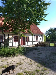 Photo 8. House, Lille Vibyvej, Kerteminde 