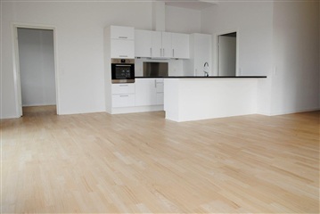 Photo 4. Apartment, Møgelparken, Viborg 