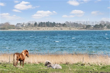Photo 8. Apartment, Annebergparken, Nykøbing Sj 
