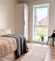 Billede 16. Hus/villa, Elmehusene, Hasselager 