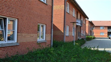 Photo 6. Apartment, Gartnerjorden, Skive 
