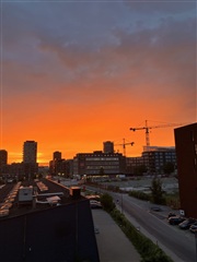 Photo 4. Room, Poppelstykket, København SV 