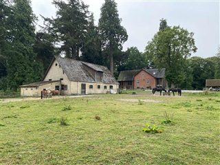 Photo 15. House, Dyrehavelund, Morud 