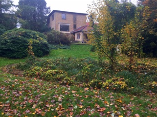 Photo 1. Room, Ordrupdalvej, Charlottenlund 