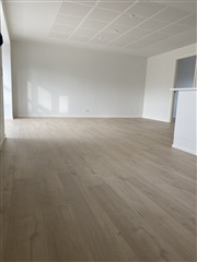 Photo 12. House, Gl. Banevej, Karup J 