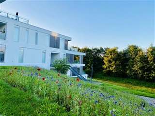 Billede 1. Lejlighed, Skrænten, Vejle Øst 