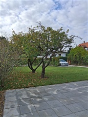 Photo 4. House, Bangsbovej, Vanløse