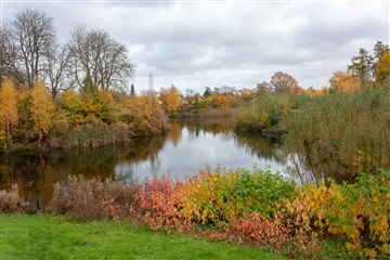 Photo 19. Apartment, Kaffevej, Rødovre 
