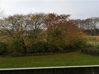 Billede 3. Lejlighed, Skallebækvej, Haderslev 