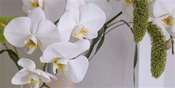 Billede 18. Lejlighed, Sydgaden, Herning 