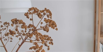 Billede 25. Lejlighed, Sydgaden, Herning 