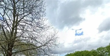 Billede 1. Lejlighed, Søbysøvej, Herning 