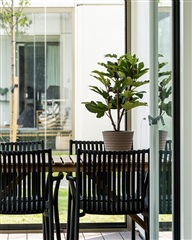 Photo 22. Apartment, Viften, Greve 