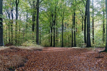 Photo 22. House, Falkenbergvænget, Ålsgårde 