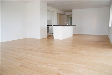 Photo 1. Apartment, Møgelparken, Viborg 