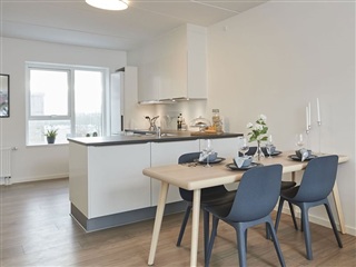 Photo 1. Apartment, Tornhøjgård, Aalborg Øst 