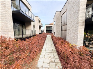 Photo 39. Apartment, Skovhaven, Hadsund 