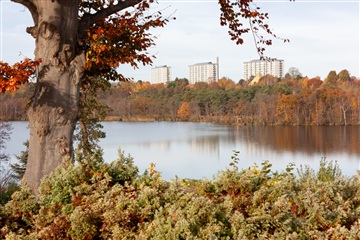Photo 22. House, Kongshvilebakken, Kongens Lyngby 