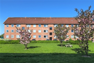 Photo 14. Apartment, Nordkap, Holstebro 