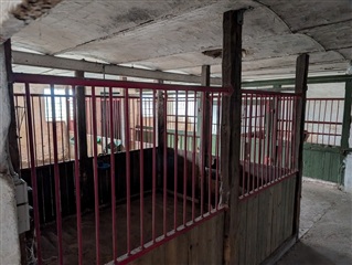 Photo 60. House, Dævidsrødvej, Slagelse 