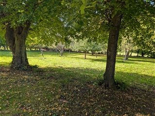 Photo 7. House, Dævidsrødvej, Slagelse 