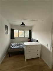 Photo 1. Room, Rådmand Steins Alle, Frederiksberg 