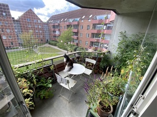 Photo 1. Room, Sigynsgade, København N 