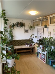 Photo 6. Room, Sigynsgade, København N 