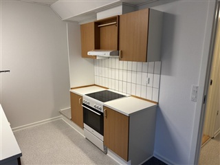Photo 10. Apartment, Gl Præstegårdsvej, Løsning 