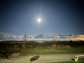 Photo 26. Room, Krimsvej, København S 