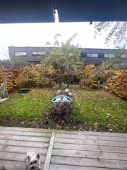 Photo 13. Room, Emblasgade, København Ø 