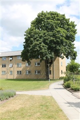 Photo 7. Apartment, Sandvejen, Silkeborg 