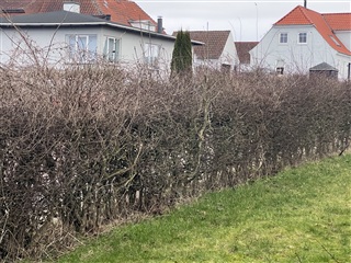 Photo 18. Apartment, Svendborgvej, Vester Skerninge 