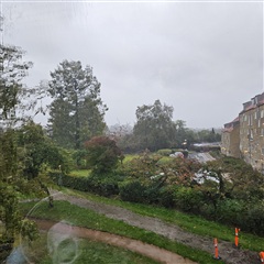 Billede 2. Lejlighed, Jægersborg Alle, Gentofte 