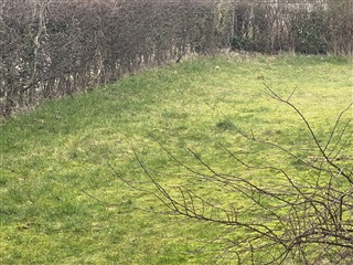 Photo 19. Apartment, Svendborgvej, Vester Skerninge 