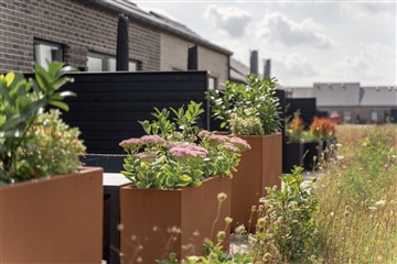 Photo 3. Apartment, Mette Thomsens Vej, Kolding 