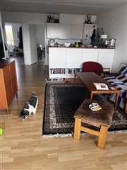 Photo 4. Room, Margretheholmsvej, København K 