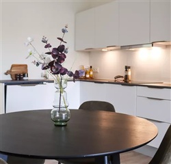 Photo 4. House, Elmehusene, Hasselager 